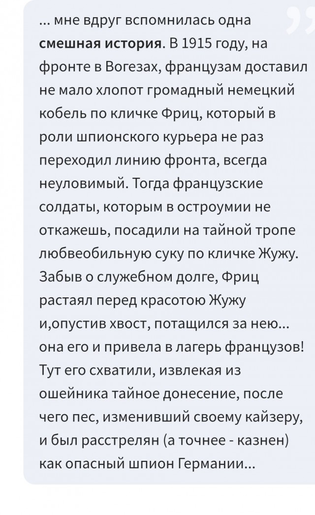 Овчарка Трофей