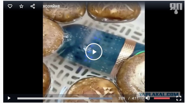 Хозяйке на заметку