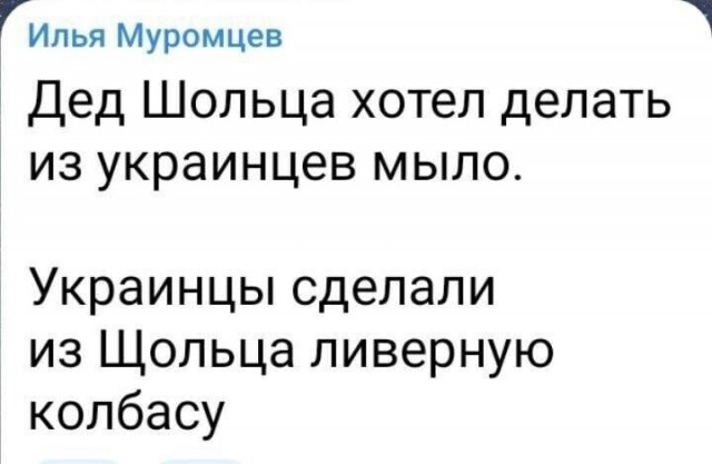 В Германии заявили о беспрецедентной провокации Киева против канцлера Шольца