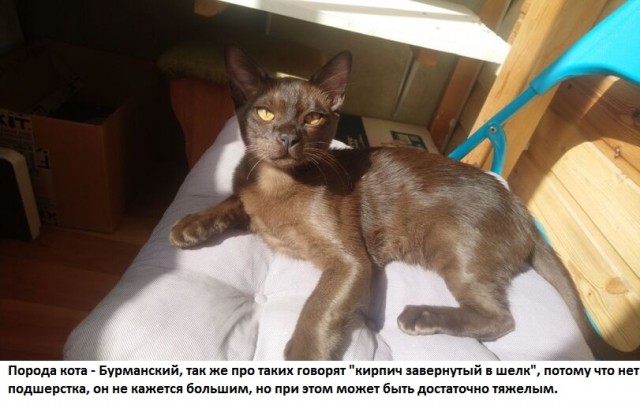 Так себе картинки 11.06.22