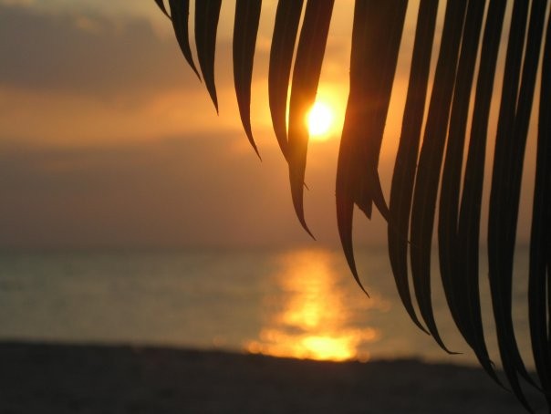 Хочется сделать такой снимок?