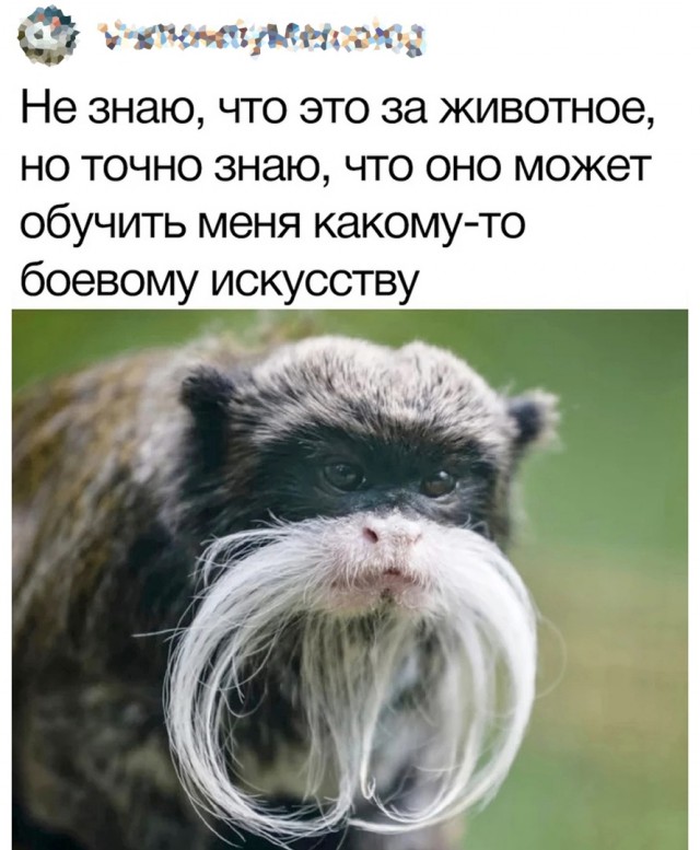 Так себе картинки 24.06.22