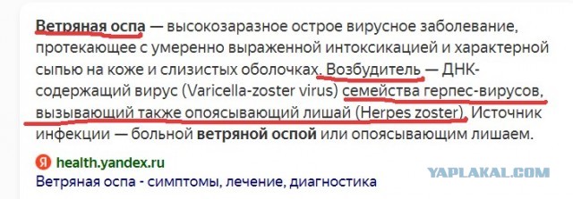 Первый случай заражения оспой обезьян подтвержден в России