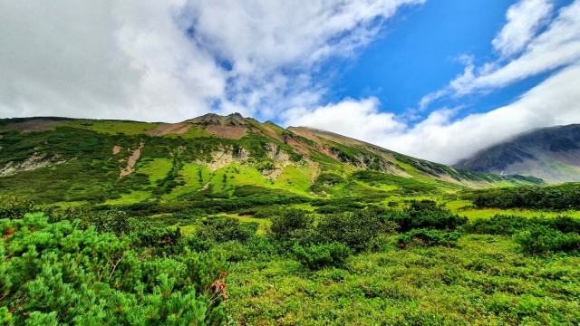 Сахалин, Кунашир и Камчатка за две недели.