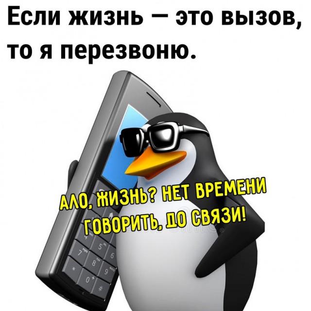 Картинки и мемы, всем хороших выходных