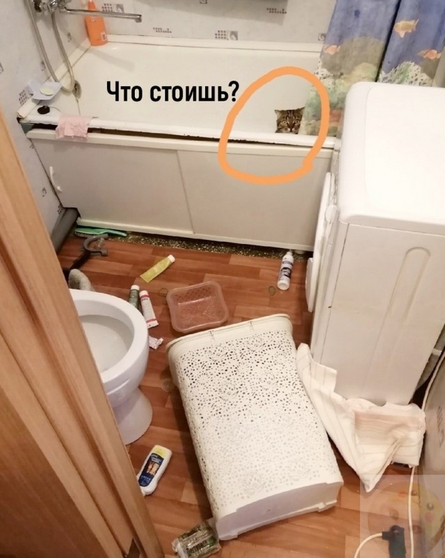 Так себе картинки 07.09.22