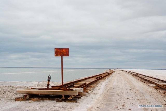 Вот в чем вся соль!