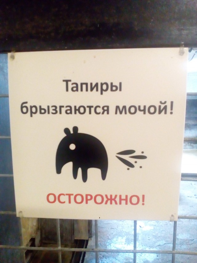 7 дней 8 ночей. Калининград