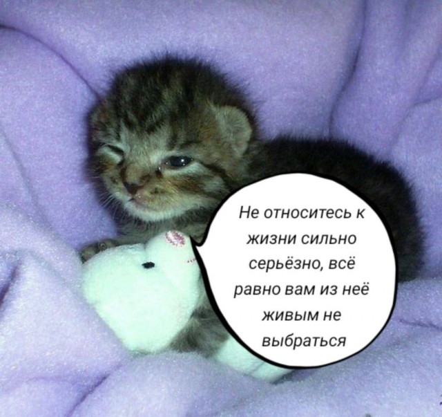 Немного мемчиков. Для взрослых. Часть 20