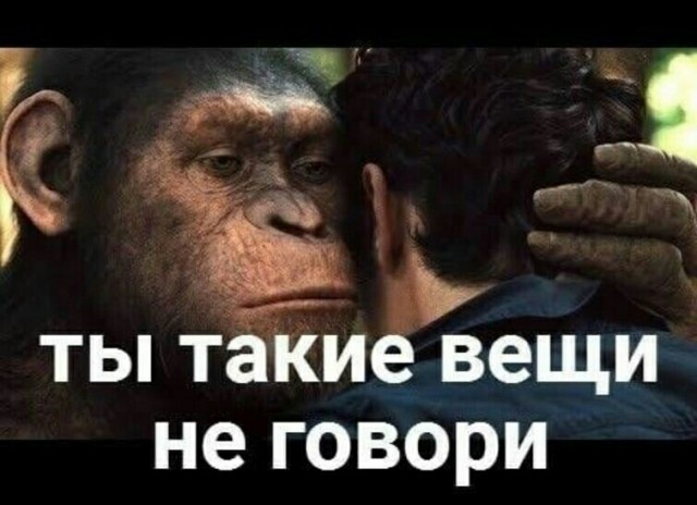Массовая драка между славянами и бойцами из Средней Азии произошла на турнире в Хабаровске