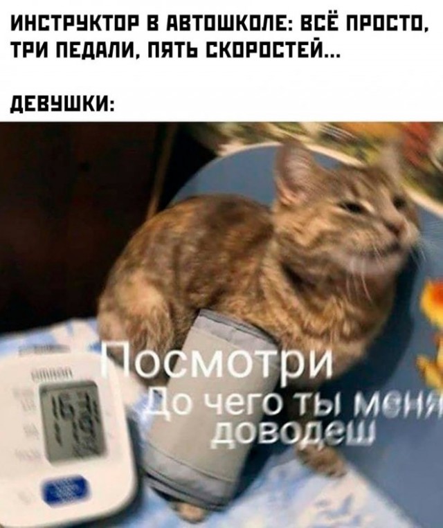Картинки и мемы для настроения - 125