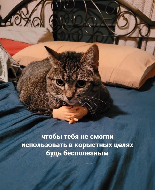 Немного картинок для настроения - 135