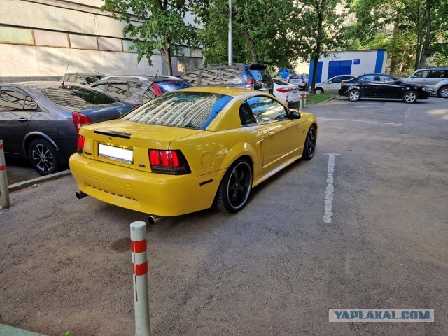 А есть ли среди нас любители американских авто?