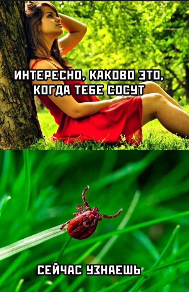 Ошибки минета. Что не нравится мужчинам в оральном сексе?