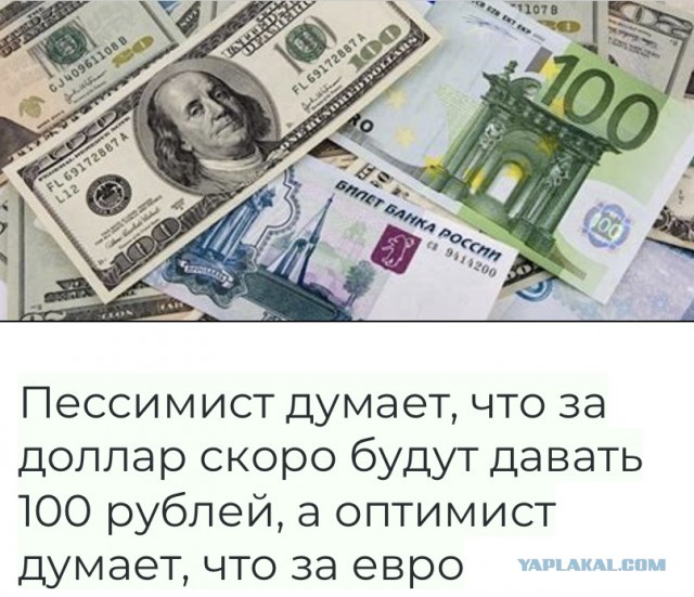 Весёлый полтишок 12.07 23