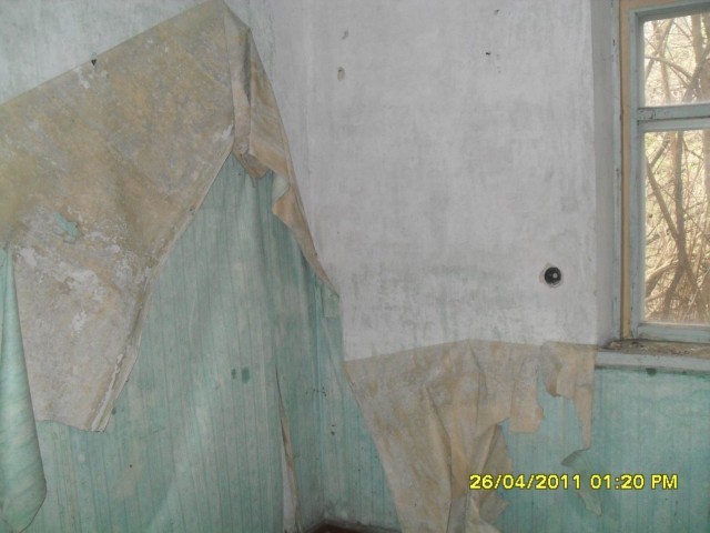 Чернобыль 2011