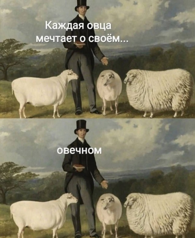 Так себе картинки 04.11.23