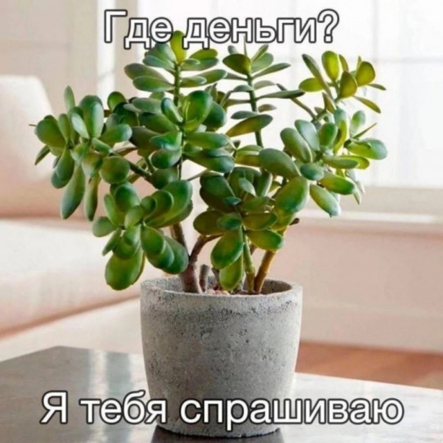 В ЦБ заявили о планах привлечь 9 млн россиян к долгосрочным сбережениям