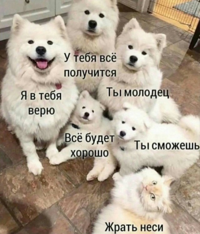Тлидцать тли от 22 февлаля