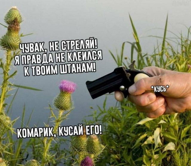 Никакие картинки