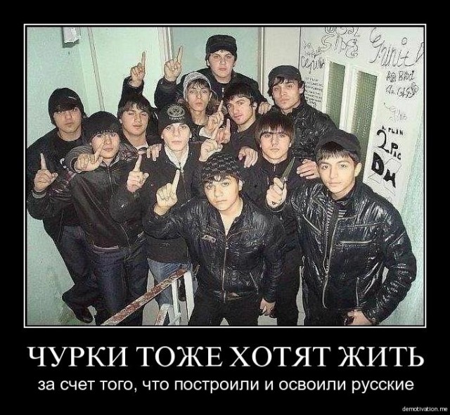В Питере появилась очередная банда из малолетних азеров, чеченцев, дагов и тд