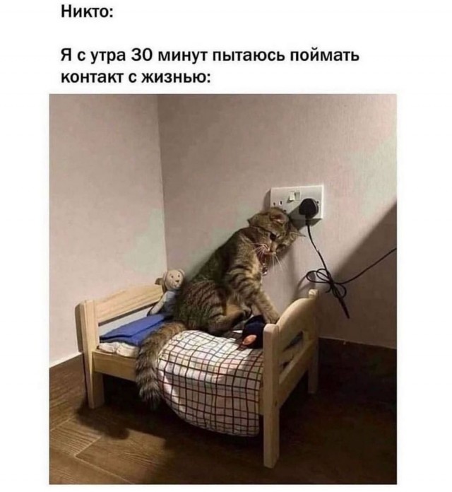 Завалялось тут случайно немного забавных картинок