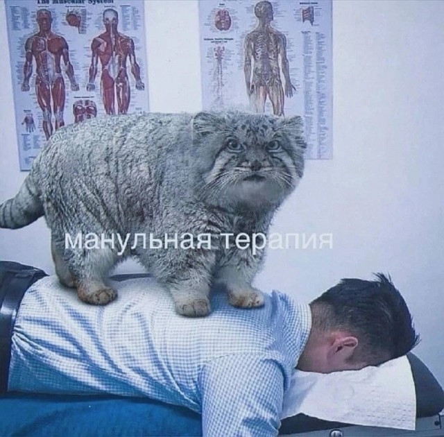 Завалялось тут случайно немного забавных картинок
