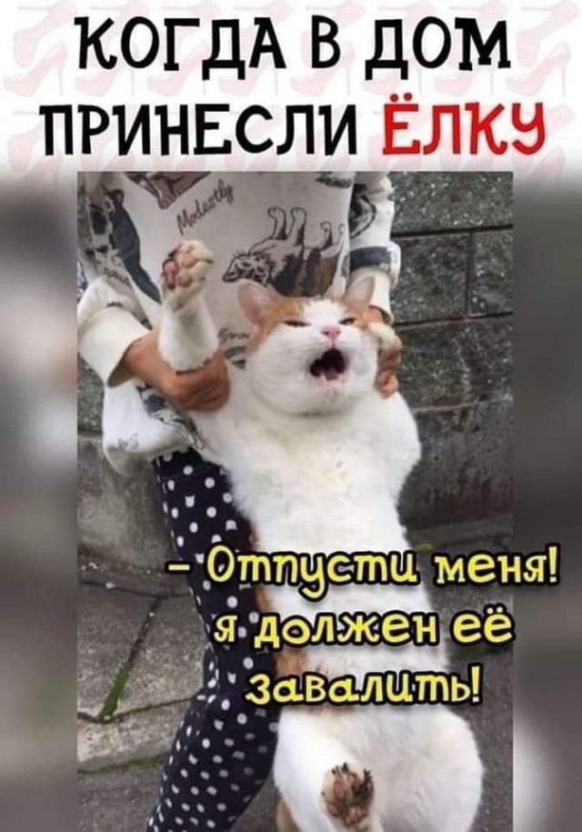 Картинков вам пятничных