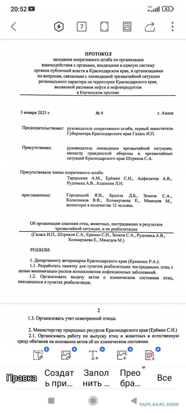 90% птиц, спасённых в Анапе волонтерами и вывезенных в Краснодар, умерло по дороге - орнитолог