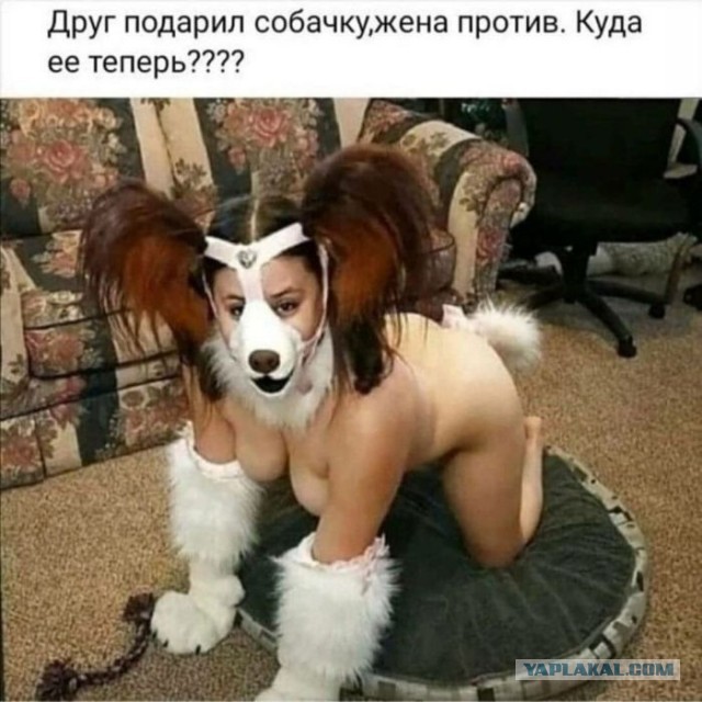 Чёрно-белый Петербург