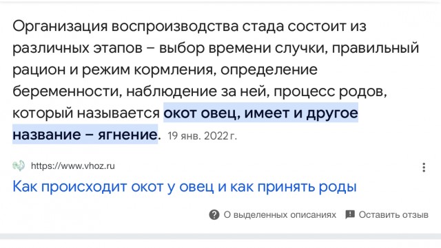 Любимое блюдо на Старый Новый год – 2025. Читаем ленту!
