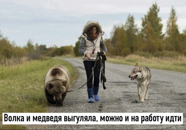 Так себе картинки 09.03.25