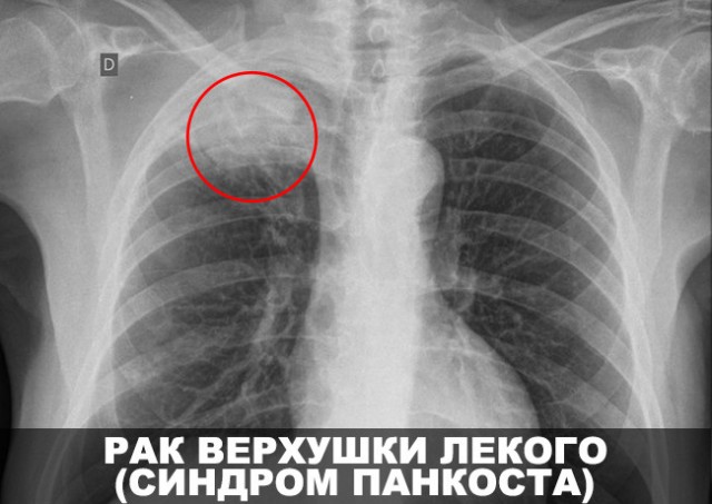 Достойная коллекция раритетов
