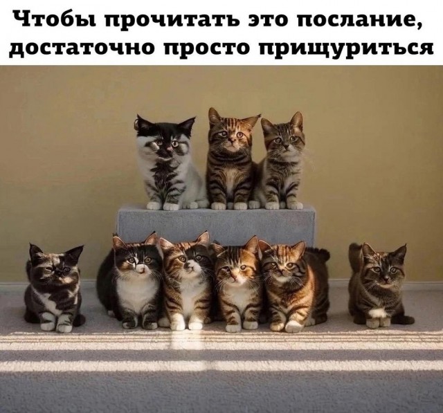 Так себе картинки 15.03.25