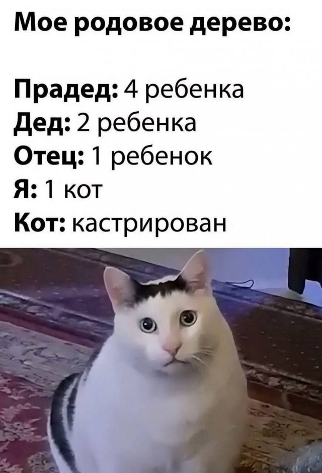 ТРРРидцать тРРРи от 26 мая