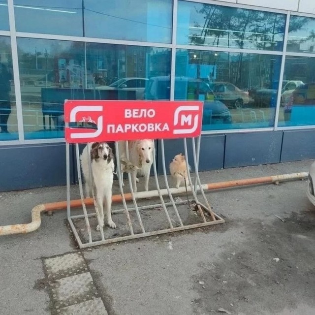 Давно не было....