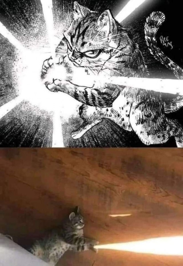 Веселое настроение в картинках (11.08.2025)