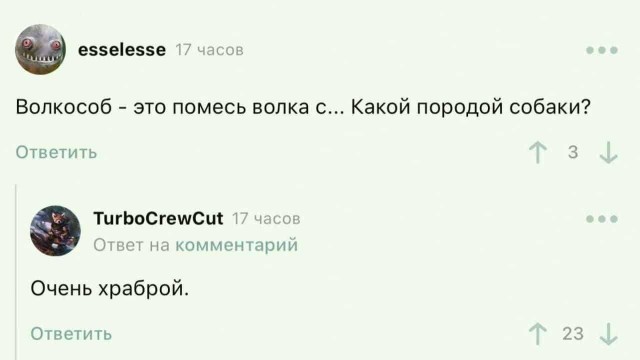 Так себе картинки 16.08.25