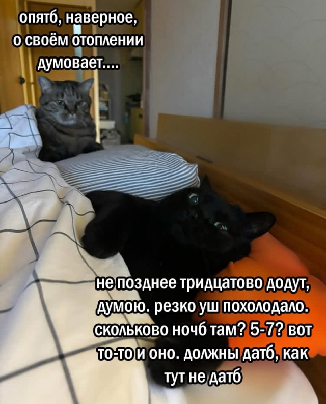 Морозы до –4°С накроют Москву и Подмосковье уже на следующей неделе