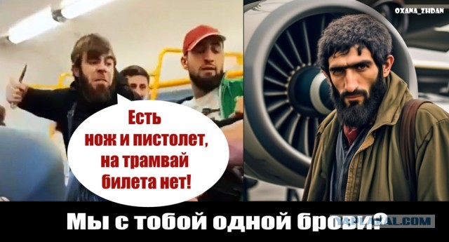 Любите ли вы жопки, как люблю их я?!
