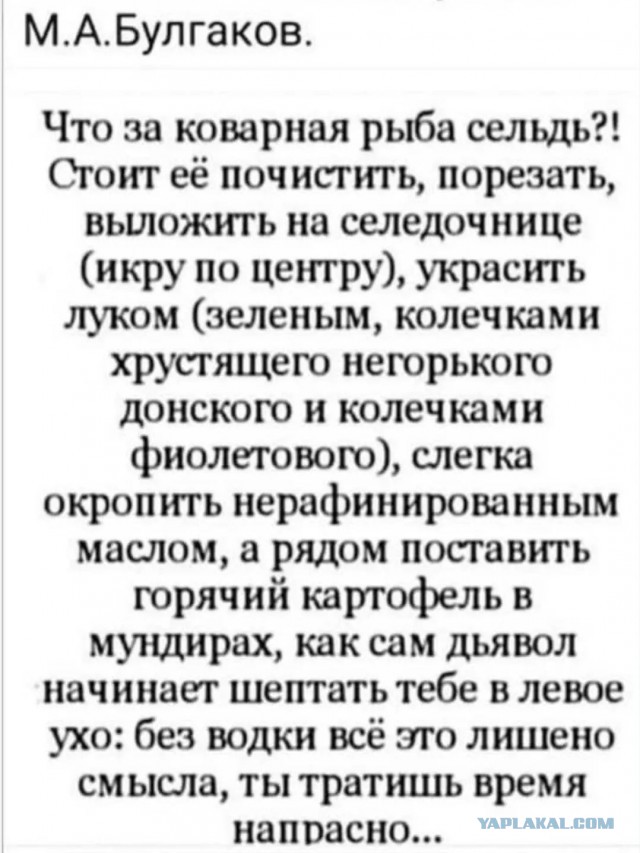 Околокулинарная подборка выходного дня