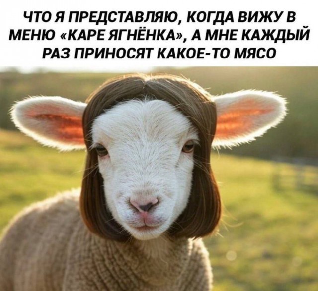 Небаянистая деградация