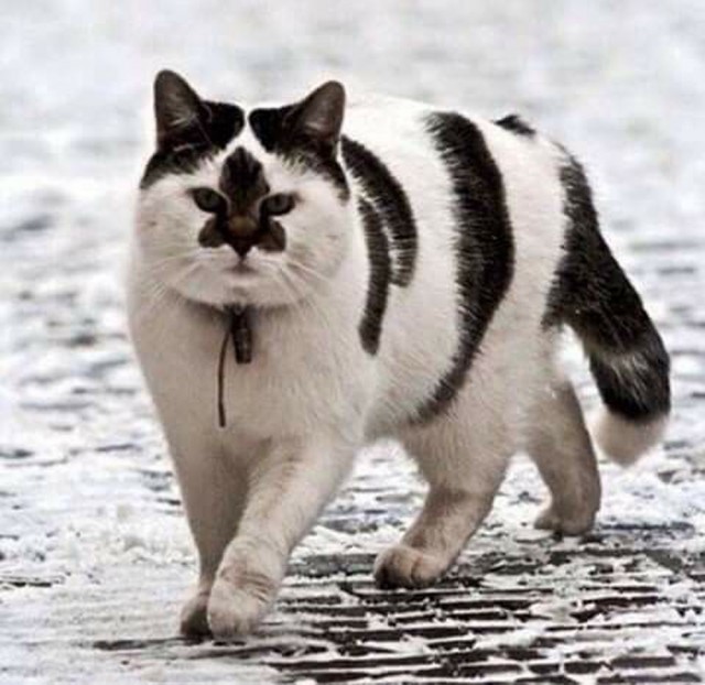 Прикольные и просто красивые картинки 18.11.2025