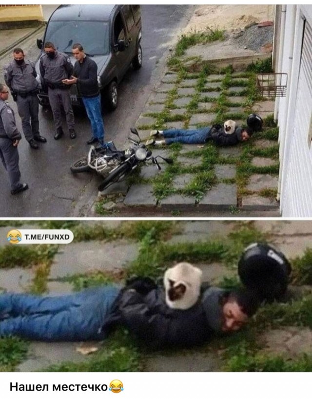 Субботние картинки