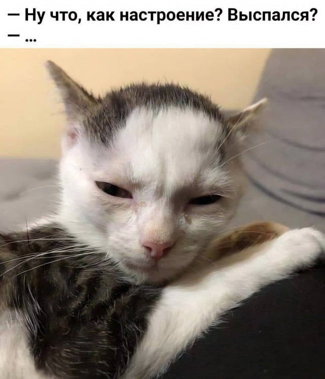 Среды картинки