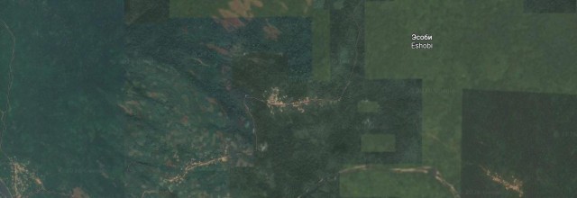 Джеральд Даррелл, спи спокойно, в Эшоби лес не рубят