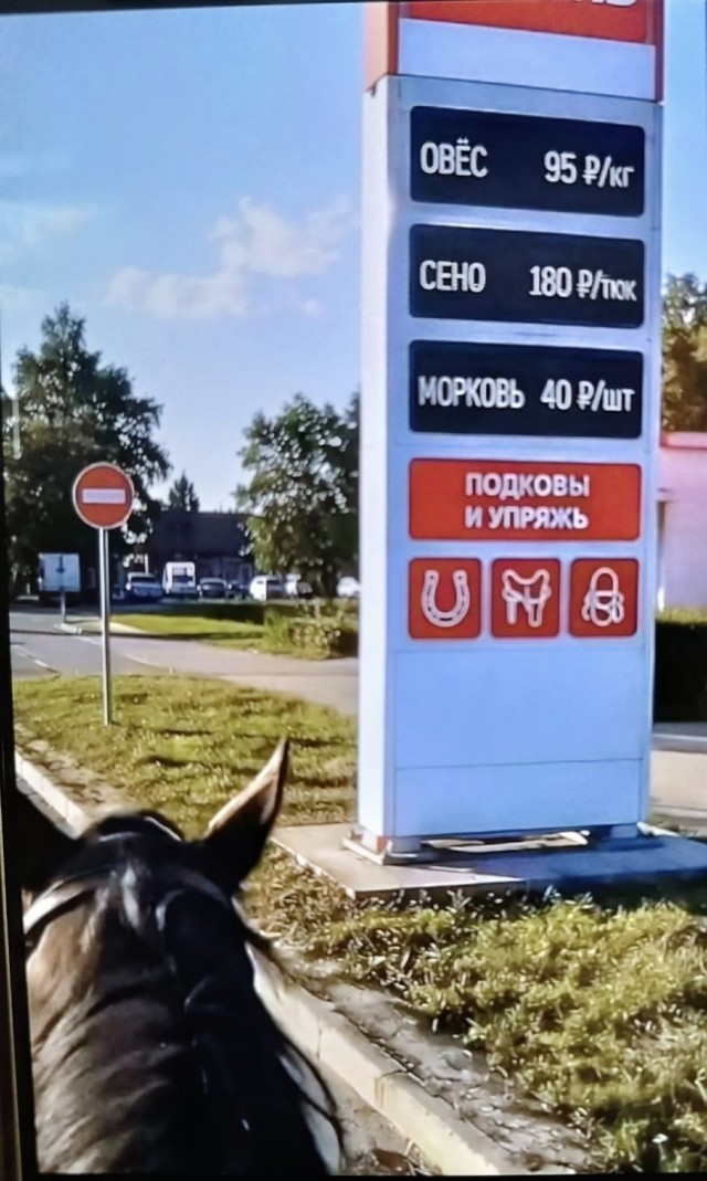 Коня, сто литров за коня! Сколько стоит завести лошадь вместо автомобиля