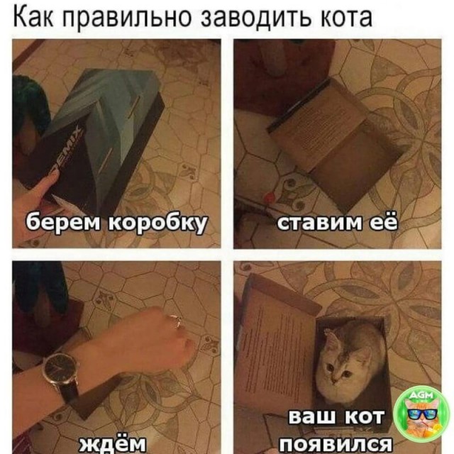 Что если Вселенная появилась пять минут назад? Философская бомба, которую невозможно обезвредить