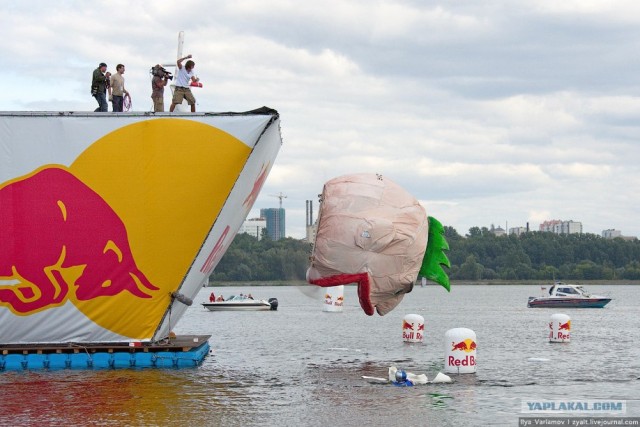 Горячий репортаж с Red Bull Flugtag`a