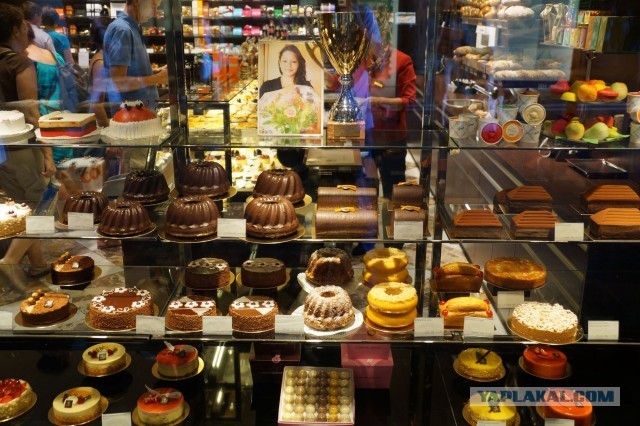 Поездка в Швейцарию